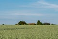 Landscape of Auvers-sur-Oise fields