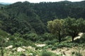 Landscape in the Aveiro District in Portugal. Royalty Free Stock Photo