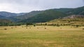 Landscape of Babia in Spain