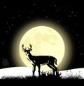 Landscape background. Deer on the moonlight