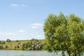 Landscape on the background of a pond