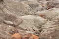 Petrified Forest National Park Royalty Free Stock Photo