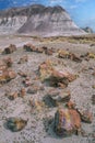 Petrified Forest National Park Royalty Free Stock Photo