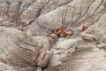 Petrified Forest National Park Royalty Free Stock Photo