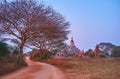 The landscape of Bagan with Shwesandaw Pagoda, Myanmar Royalty Free Stock Photo