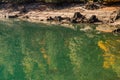 Landscape of Baker Lake water covered with pollen and fallen tree seeds, in North Cascades Royalty Free Stock Photo