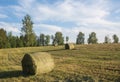 Landscape with a baled hay roll in summer . Royalty Free Stock Photo