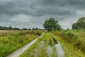 Landscape BalloÃÂ«rveld in the Dutch province of Drenthe after heavy rainfall with rain puddles Royalty Free Stock Photo