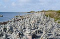 Landscape of Baltic seaside in an autumn day