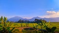 Landscape banana trees in rice fields with mountain Merbabu, Telomoyo, Gajah Mungkur background. Clouds and blue sky Royalty Free Stock Photo