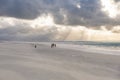 Landscape with Banjaard Beach. Kamperland in the province of Zeeland in the Netherlands