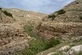 A Landscape on the Bank of the Prat Stream, Israel