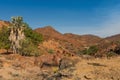 Landscape on the banks of the Kunene River, the border river between Namibia and Angola Royalty Free Stock Photo