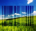 Landscape with barcode lines