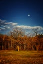 A landscape with bare trees, green grass, and a visible moon Royalty Free Stock Photo