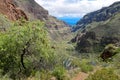 Landscape in Barranco de Guayadeque Royalty Free Stock Photo