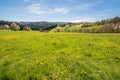 Landscape in Bavarian forest with view to the radio tower  Brotjacklriegel  with a flower meadow in the foreground, Germany. Royalty Free Stock Photo