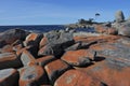 Landscape of Bay of Fires Tasmania Australia Royalty Free Stock Photo