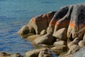 Landscape of Bay of FiresTasmania Australia Royalty Free Stock Photo