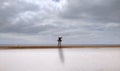 landscape of a beach with cloudy sky and a tall lifeguard station with green flag at the middle. At first the sea water has Royalty Free Stock Photo