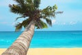 Landscape beach coconut palm tree with blue sea and sky in summer holiday Royalty Free Stock Photo