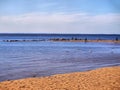 Gulf of Finland - beach