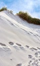 Landscape of beach sand dunes on the empty west coast of Jutland in Loekken, Denmark. Blue sky with copyspace, tufts of Royalty Free Stock Photo