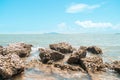 Landscape of beach and sea with reef rock beach Royalty Free Stock Photo