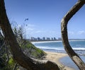 Landscape of a beach surrounded by the sea with a paraglider above it in Mooloolaba in Australia