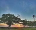 Landscape beach with trees at sunset looks very beautiful Royalty Free Stock Photo