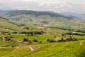 Landscape of Beaujolais region