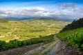Landscape of Beaujolais with vineyards of Brouilly and Quincie village, France Royalty Free Stock Photo
