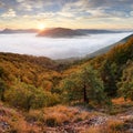 Landscape Beautiful autumn morning above deep forest valley.