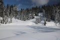 Canadian winter long path snow admire landscapes Royalty Free Stock Photo