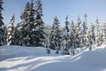 Canadian winter long path snow admire landscapes Royalty Free Stock Photo