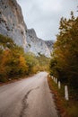 Landscape with beautiful empty mountain road , high rocks, trees and cloudy sky Royalty Free Stock Photo