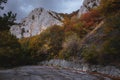 Landscape with beautiful empty mountain road , high rocks, trees and cloudy sky Royalty Free Stock Photo