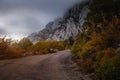 Landscape with beautiful empty mountain road , high rocks, trees and cloudy sky Royalty Free Stock Photo