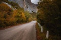 Landscape with beautiful empty mountain road , high rocks, trees and cloudy sky Royalty Free Stock Photo