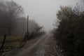 Landscape with beautiful fog in forest on hill or Trail through a mysterious winter forest with autumn leaves on the ground. Road Royalty Free Stock Photo