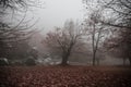 Landscape with beautiful fog in forest on hill or Trail through a mysterious winter forest with autumn leaves on the ground. Road Royalty Free Stock Photo