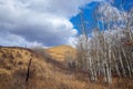 Landscape of the beautiful Glenbow Ranch Provincial Park in Alberta Royalty Free Stock Photo