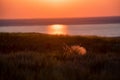 Beautiful landscape with sunset over saline lake Baskunchak and feather grass