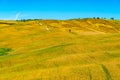 Landscape of the beautiful hilly tuscany field in summer Royalty Free Stock Photo