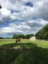 Landscape with a beautiful scenic clouds and horse.