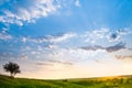 Landscape with a beautiful sky Royalty Free Stock Photo