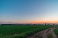 Landscape beautiful summer orange sunset over green field with rural dirt road. Clear blue sky with sunset lighting. Royalty Free Stock Photo