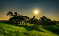 Landscape of beautiful sunset at the park with trees and green Royalty Free Stock Photo