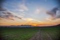Landscape  at the sunset in the springtime Royalty Free Stock Photo