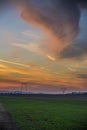 Landscape  at the sunset in the springtime Royalty Free Stock Photo